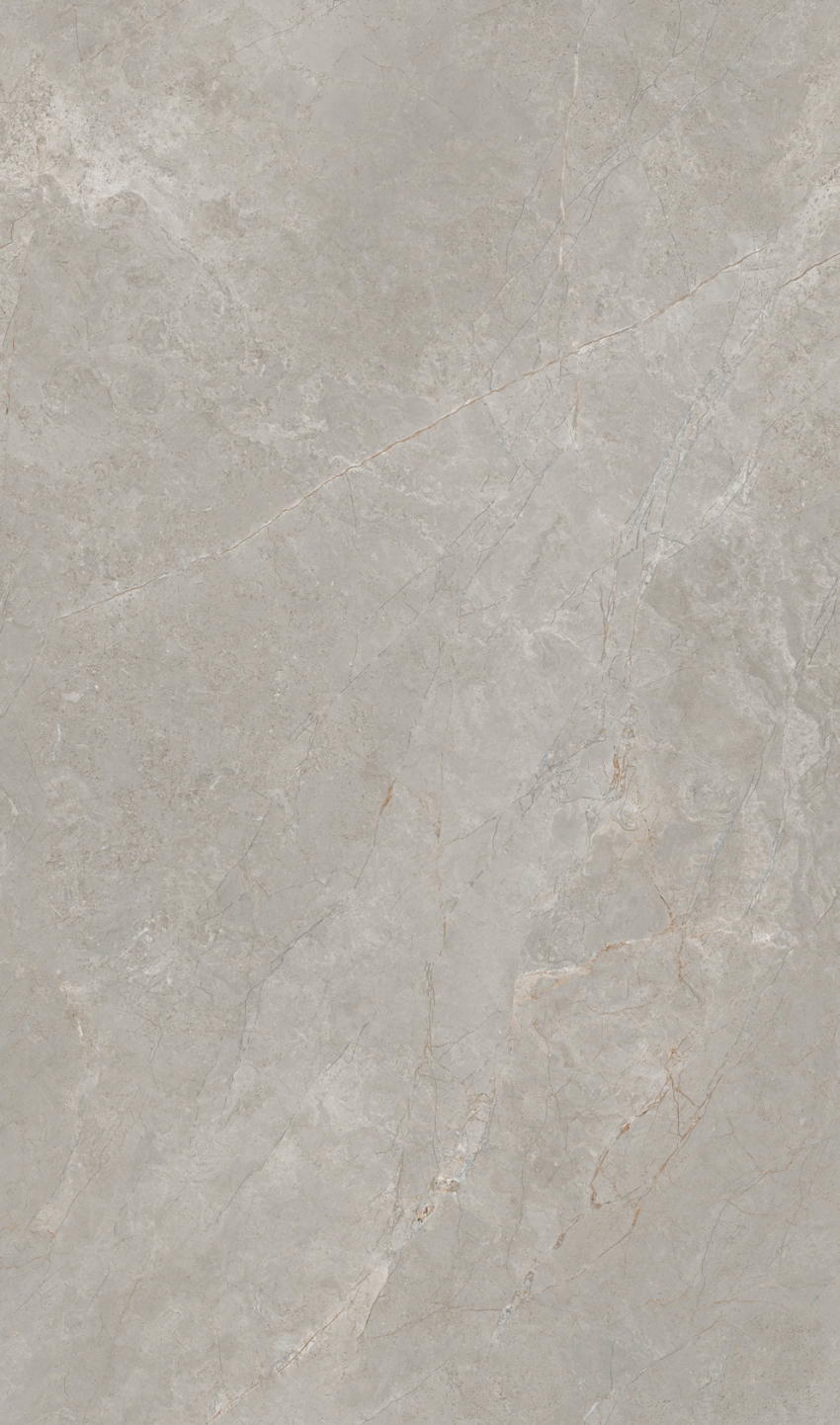 DTC81321AL 貝爾斯